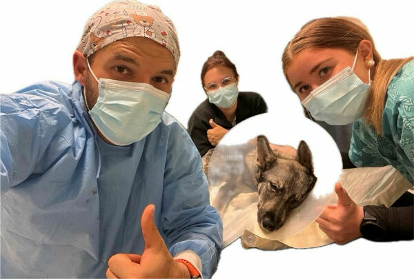 Ingen meldte fra da Násti ble påkjørt
