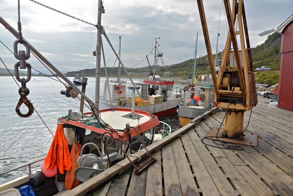 «De eneste partene som blir skadelidende her, og det til gangs, er fiskerne i Nord-Norge og de firmaene som driver med krabbeeksport. Som har invester millioner av kroner i fiskebåter, fangstutstyr og mottaks- og forsendelsesanlegg både i Norge og Korea, og som nå blir stående igjen uten mulighet til å eksportere sine ettertraktede produkter.» Dette skriver det russiske flyselskapet Aviastar i sin klage til Luftfartstilsynet. Bildet er 2014 da det var leveringskø ved krabbemottaket i Smørfjord..
 Foto: Arkiv