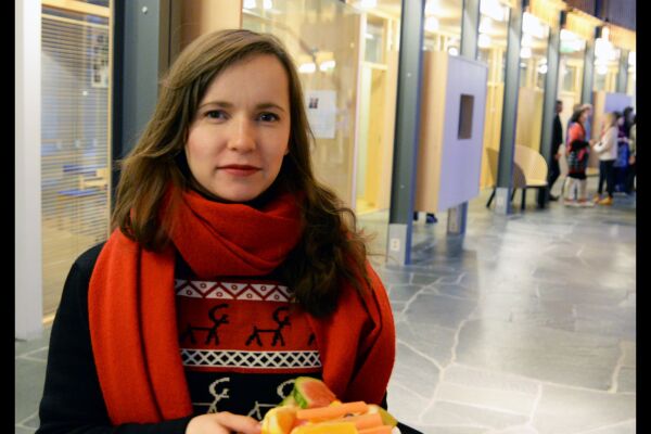 Árja skal styre mineral­politikken