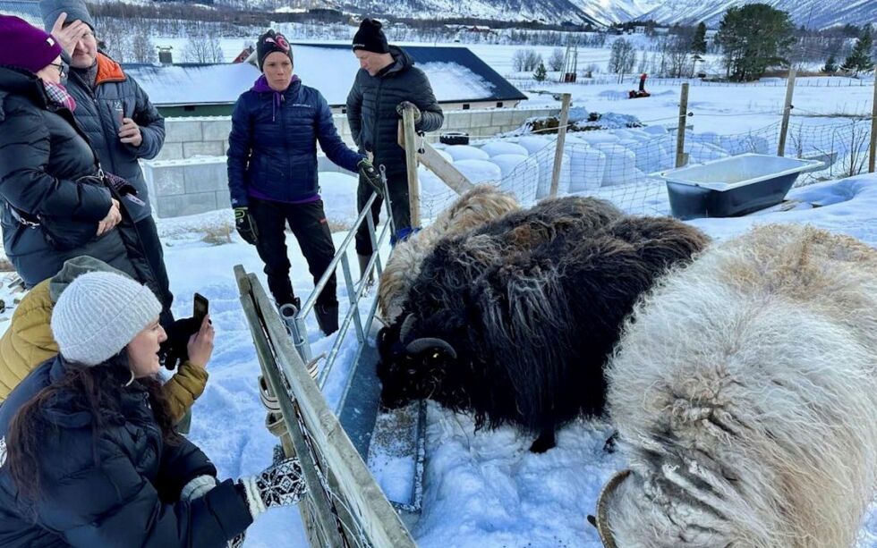 Fra venst­re ser du Trude Fon­ne­land, Riit­ta Lehtola-Ko­so­nen, Mika Aromäki, Kata­rina Niva og Dag Rune Woll­vik. Bil­det er tatt i for­bind­el­se med Máhtut, der Senter for nord­li­ge folk skal bi­dra med sjø­sam­isk mat­tra­di­sjo­ner.
 Foto: Henrik Olsen