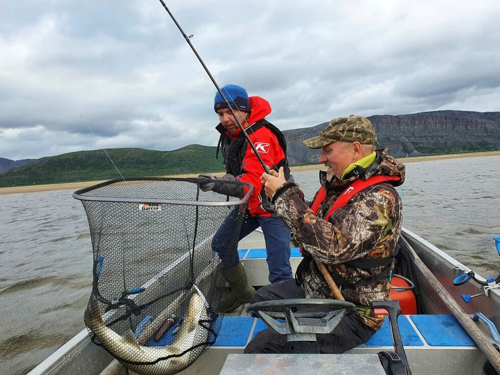 Svein Tore Gaski (nærmest) og Kim Kjølås Lavre tar inn dette flotte eksemplaret av en komsa/sjøørret ved Gullholmen i Tana. ALLE Foto: TOM HARDY