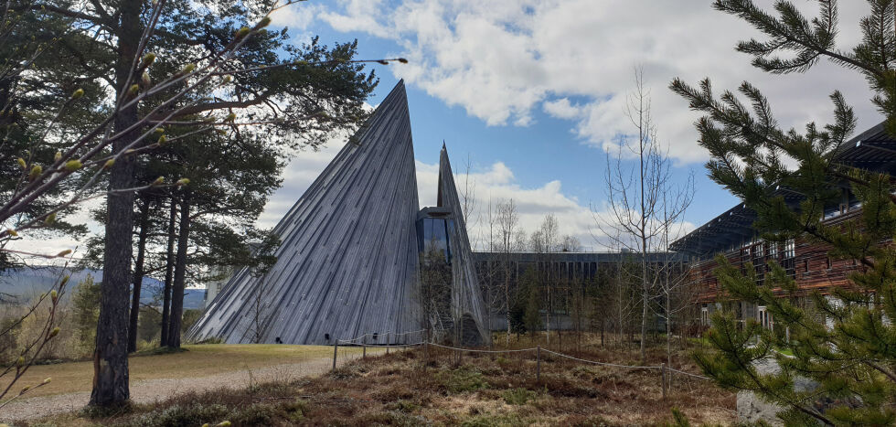 Foto: Steinar Solaas