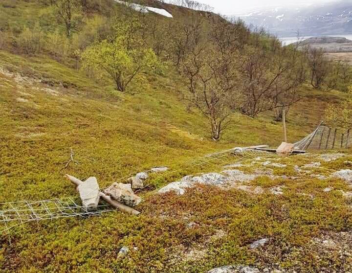 Slik fant bøndene gjerdet da de sjekket området før sauene ble sluppet på beite denne sommeren. De mener det er rimelig tydelig at dette er gjort med fullt overlegg av mennesker, og ikke er en følge av naturens luner.
 Foto: Lakselv og Brennelv beitelag