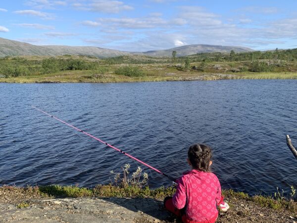 Hvem har rett til å jakte og fiske?
