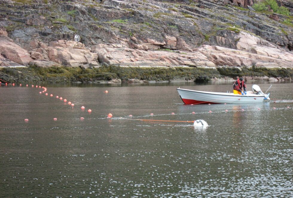 FeFo begrunner begrensningen i antall fiskeplasser vest i Finnmark som tilbys fiskere i forbudssonene, med at man ikke ønsker å øke beskatningen på bestanden.
 Foto: Privat