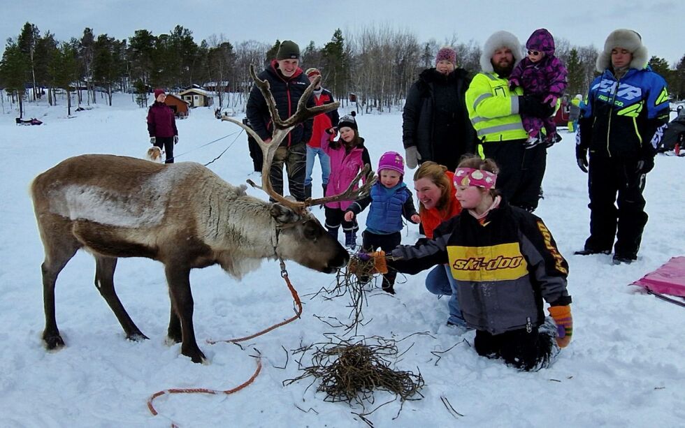 Både barn og voksne syntes det var moro at det kom en rein på besøk på isen. Her fryder Josephine Meinke seg med å mate den, mens hele familien følger med.
 Foto: Hill Haga