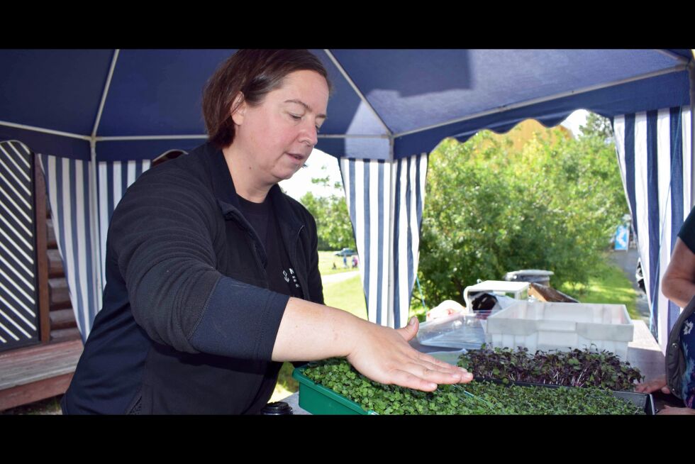 En tett og flott matte av grønt stappfullt av godsaker.
 Foto: Birgitte Wisur Olsen