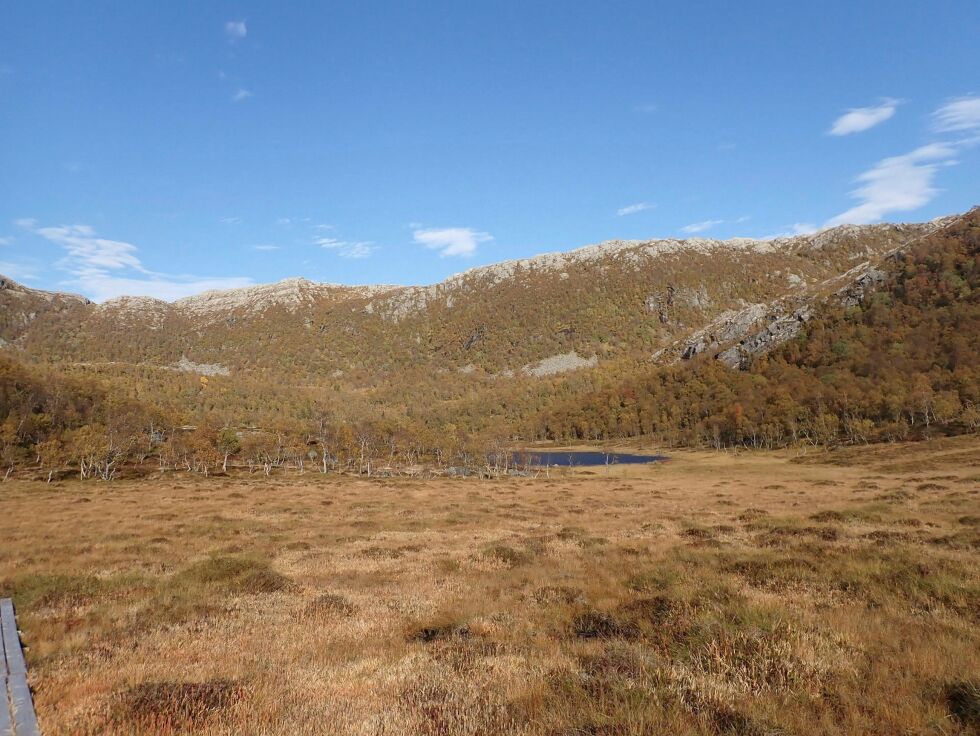 En vakker høstdag ved Sakriannaplassen som ligger i området Finnlægran i Kvina.
 Foto: Torstein Simonsen
