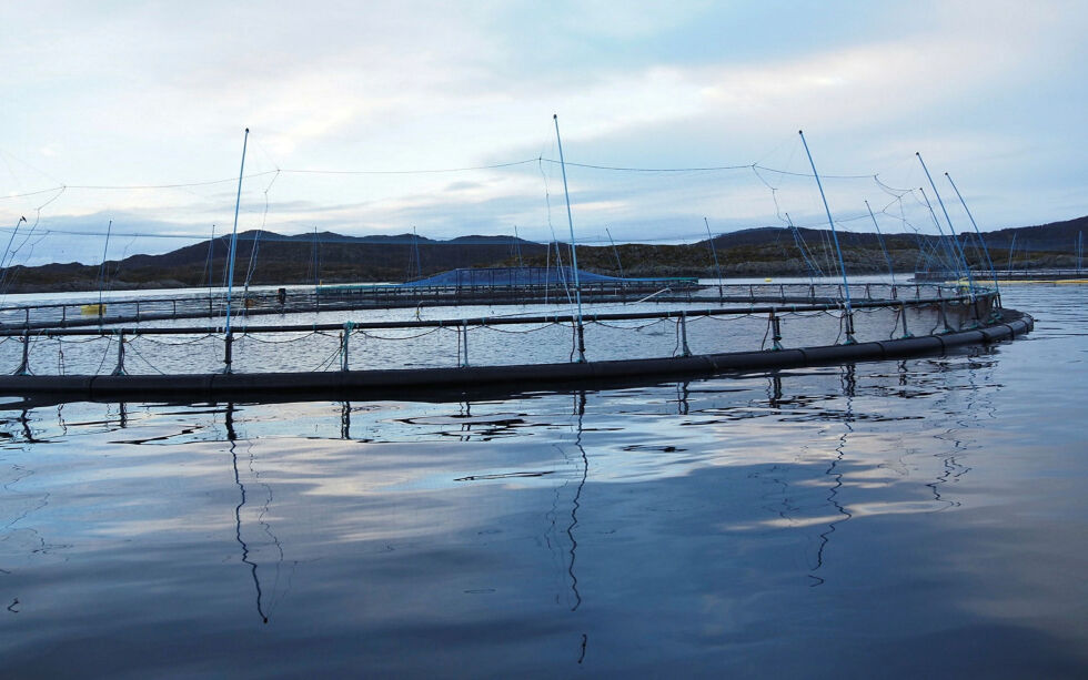 Myndighetene ønsker et tydeligere regelverk for hva som skal an­ses som ak­va­kul­tur på land, i mot­set­ning til ak­va­kul­tur i sjø.