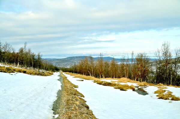 Bråtining i fjell og li i varmen