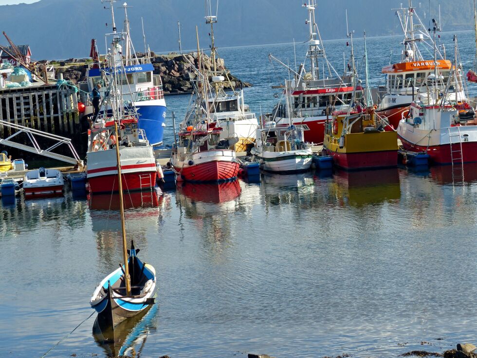 I fiskerihavna i Russehamn i Kamøyvær (bildet) er det ikke plass til flere båter.
 Foto: Geir Johansen