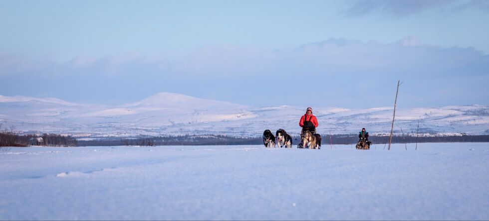 Her kommer Elaine Brown med sitt 8-spann torsdag kveld, med sola som skinte over fjellene i bakgrunnen.
 Foto: Silje L Kvammen