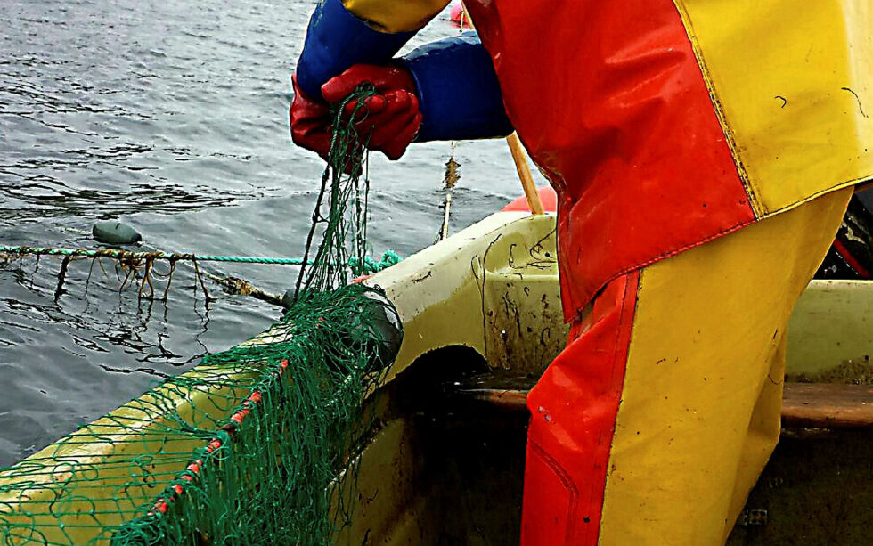 Bivdu vil i konsultasjonsmøtet med Miljødirektoratet stå fast ved at sjø­lak­se­fis­ke­re ikke skal bære inn­skrenk­nin­ge­ne så len­ge der er and­re in­ter­es­se­grup­per, som sports- og fri­tids­fisk­ere, som fisk­er av lak­se­res­surs­ene.
 Foto: Torbjørn Ittelin