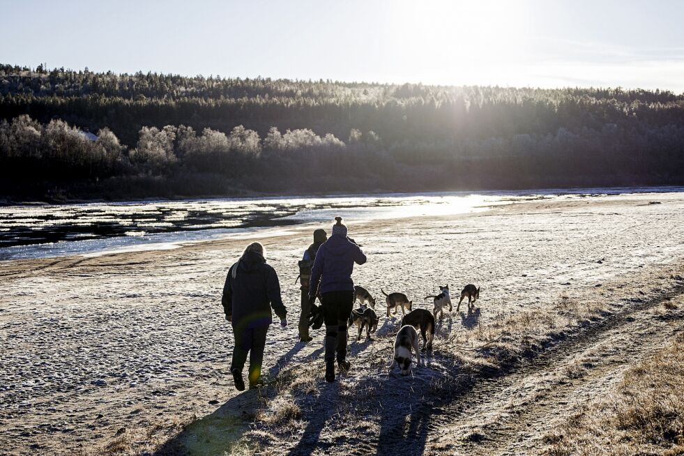 Idyllen er på topp, når været viser seg fra sin beste side.
 Foto: June Helén Bjørnback