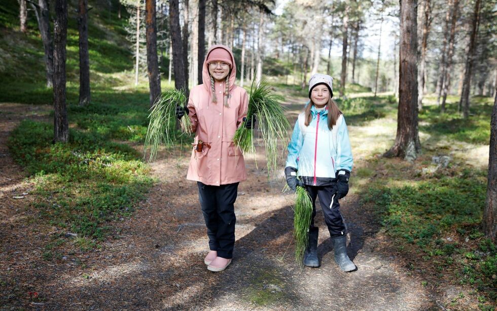 Kai­sa Ma­ri­ell Kaaby Bal­to og Ama­lie Nil­sen fikk prø­ve seg på be­ar­bei­ding av sen­na­gress. Foto: June He­lén Bjørn­back