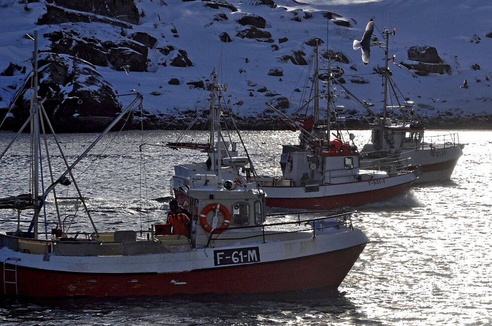 Sjarkflåten i Havøysund fikk eventyrlige fangster da værgudene endelig viste seg fra sin beste side på fredag.
 Foto: Ronald Andersen