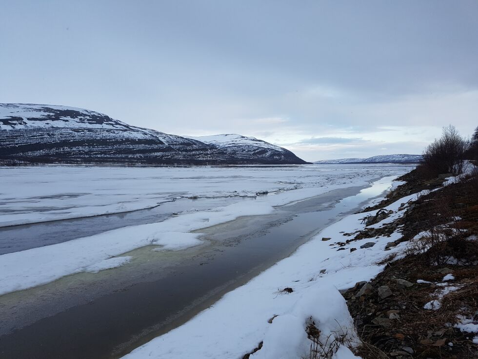Isen ligger fast fra Masjokmunningen og nedover Tanaelva, bildet er tatt fra Holmfjell og oppover elva.
 Foto: Tom Hardy