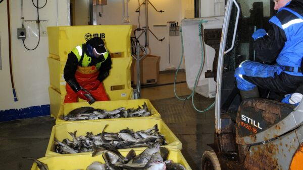 EU-fiskeriministerne Aspaker fra Høyre og Sandberg fra FrP