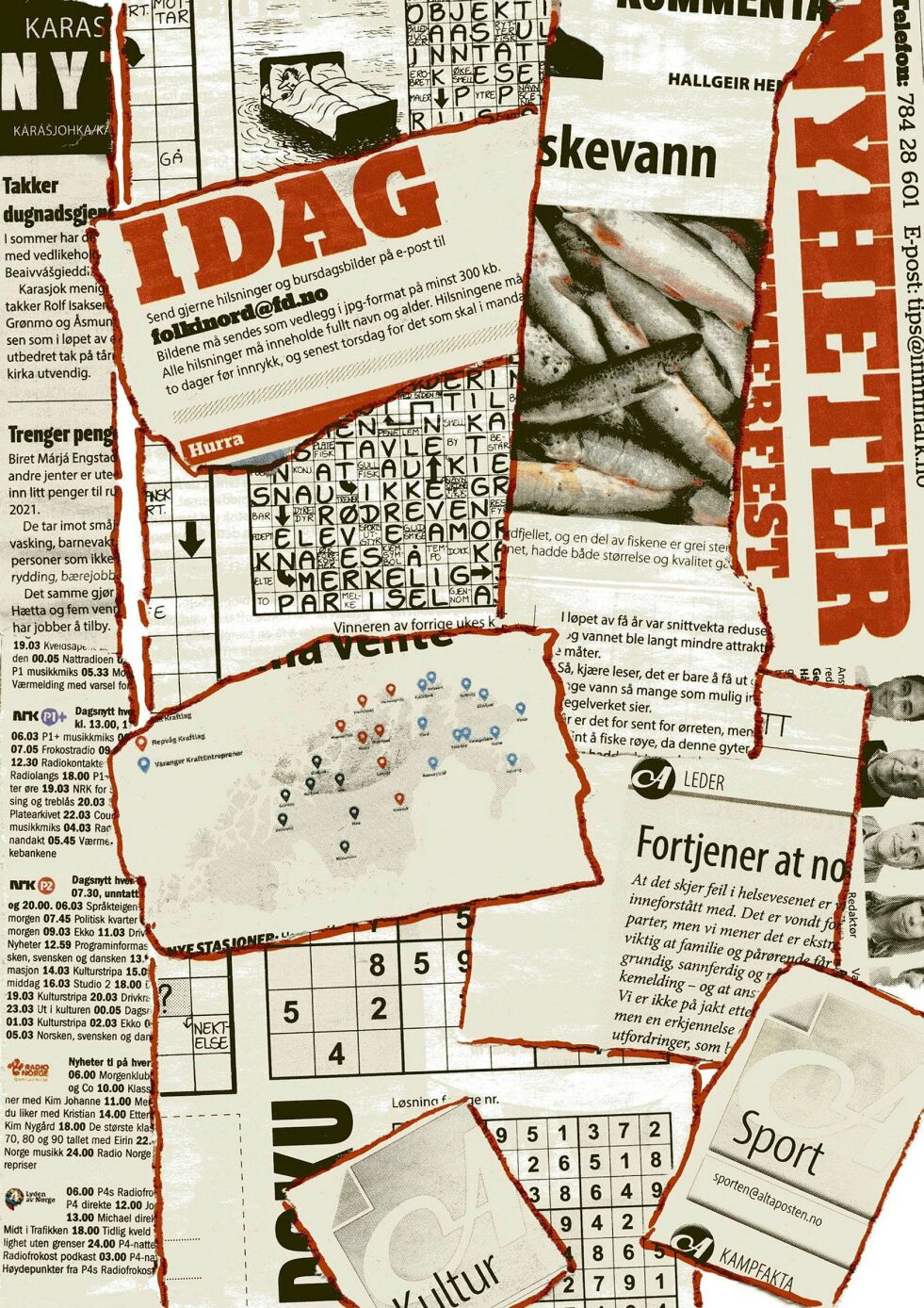 Illustrasjon av forfatteren