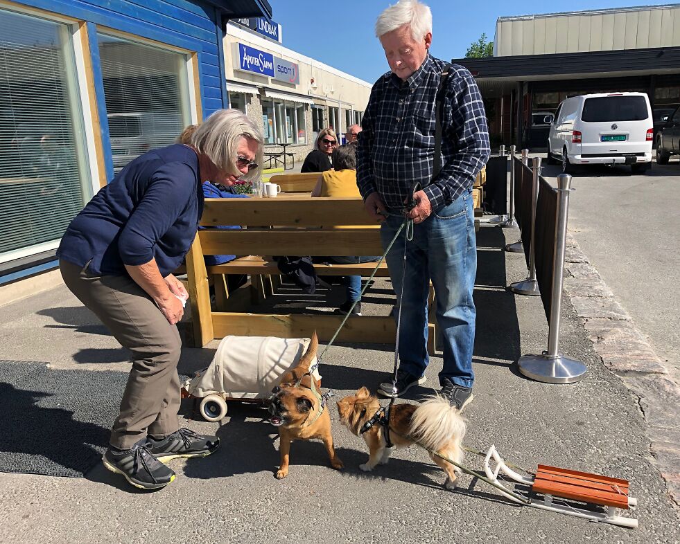 –  Käiser og Bastian trives som trekkhunder, forteller Magnus Halonen.
 Foto: Stein Torger Svala
