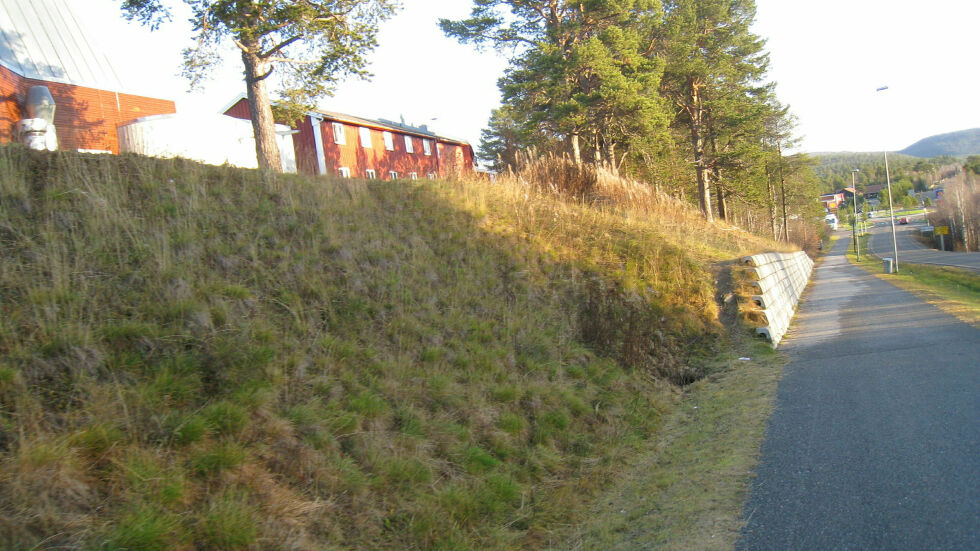 Året 2011 varte høsten til midten av november (første snefall 11.11.), selv om løvet gulnet tidlig og falt. Fordi Karasjok har bartrær i sentrum får man inntrykk av at her er det grønt hele året. Men det ene året er ikke det andre lik.
 Foto: Anders Henriksen