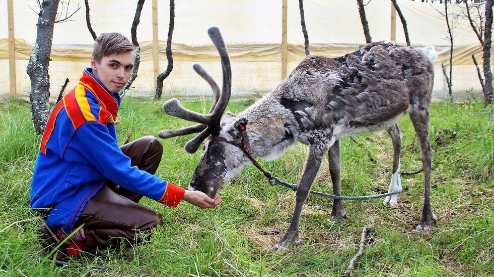 Nesseby-gutten Juoksa Smuk mener det er viktig at også turister som besøker Varanger, får anledning til å komme tettere innpå reinsdyr og samenes kultur.
 Foto: Torbjørn Ittelin
