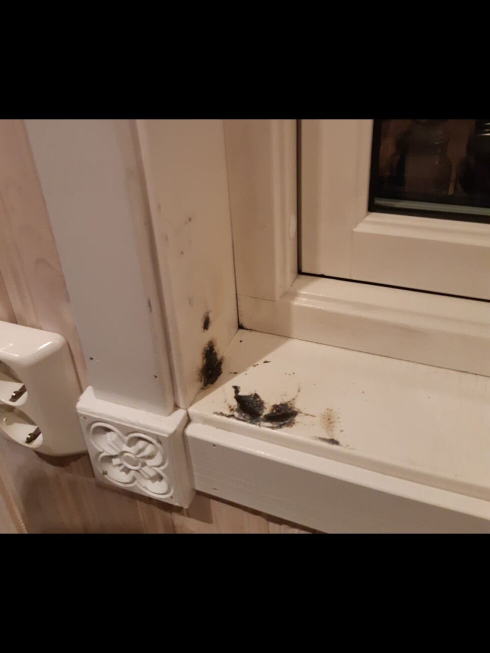 Mariann Tveide Forsberg er glad for at hun var i samme rom da høyttaleren eksploderte og tok fyr, mens den sto til lading i vinduskarmen.
 Foto: Privat