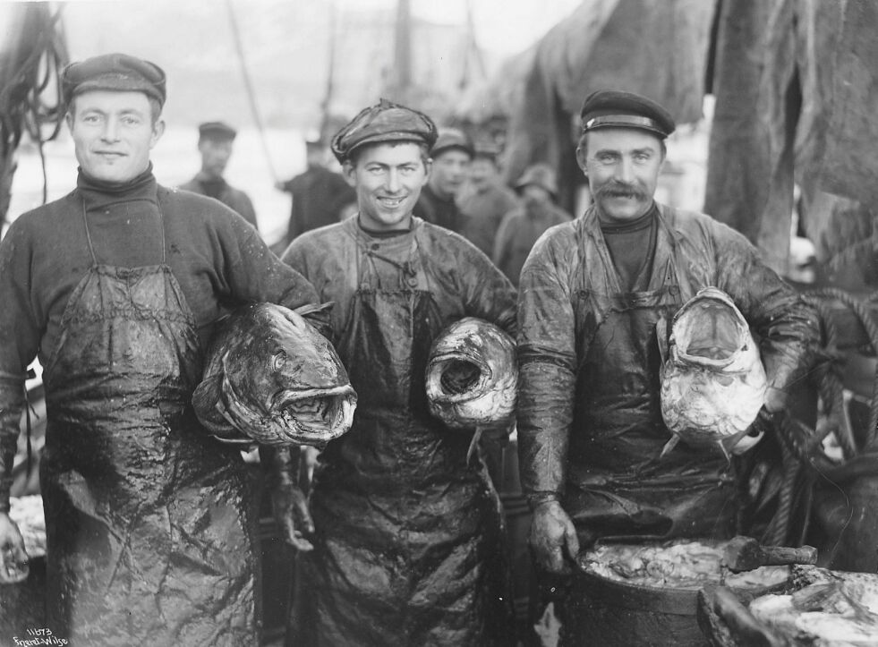 Lofotfisket har en lang tradisjon. Foto: Nasjonalbiblioteket.