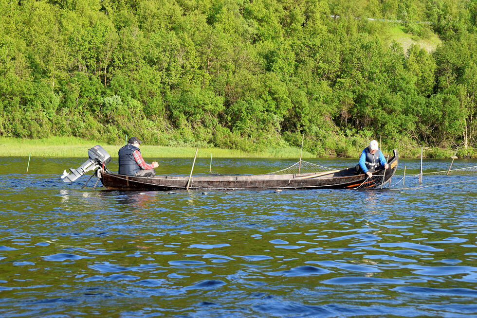 Den opp­da­terte ut­still­ing­en for­mid­ler Tanas rike lakse­kultur.