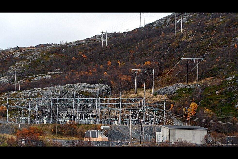Foto: Bjørn Hildonen/Illustrasjon
