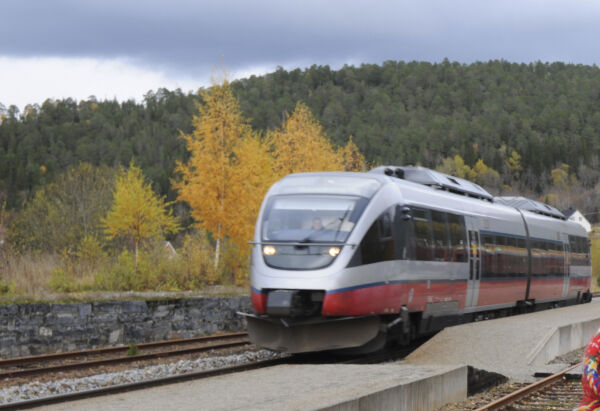 Avsporinger fra sør