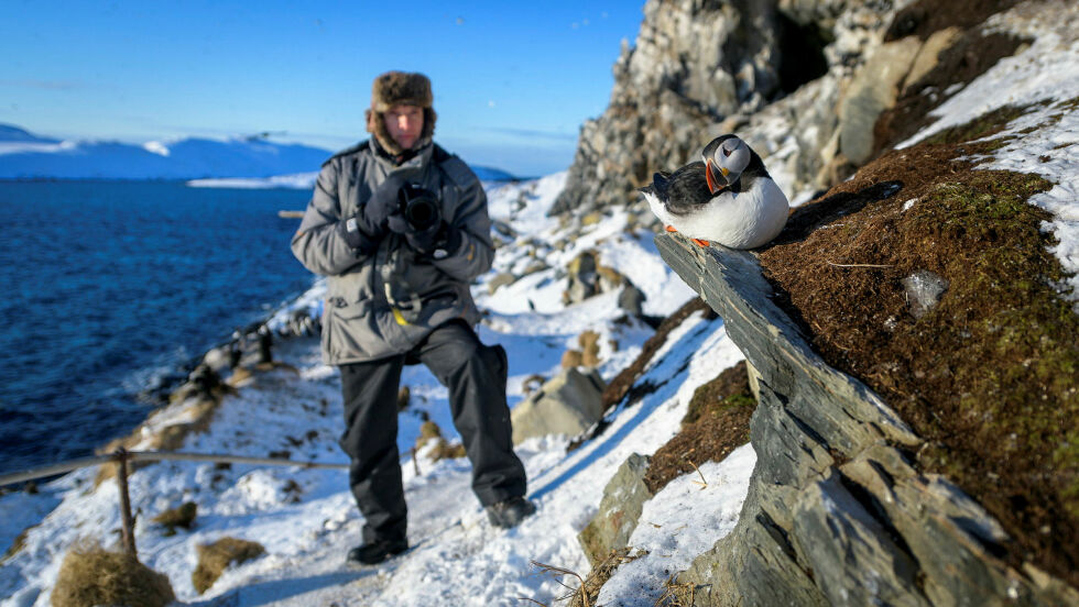 – Hornøya har blitt kjent og kjær etter hvert. Man ser forandringene fra år til år og får muligheten til å følge med. Det å komme hit og få oppleve det yrende fuglelivet på senvinteren eller våren er en egen og god stemning, sier Bjarne Riesto.
 Foto: Cecilie Bergan Stuedal