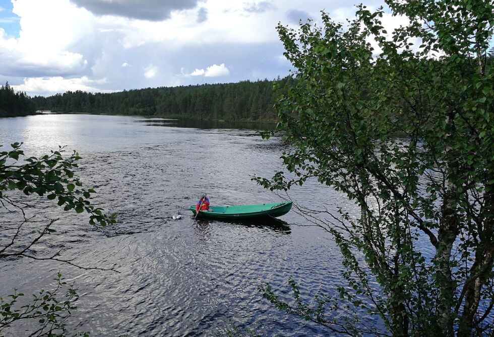 Esko Aikio har dokumentert sin garnutsettelse i tråd med elvesamiske tradisjoner. Dagen etter at garnet var satt ut, kontaktet han selv politiet.
 Foto: Hans Pieski