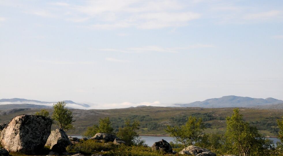 Råskodda i østfylket, som her nord på Skogerøya, kan regulere effektivt ellers gode sommertemperaturer til kun snittemperaturer, og oppleves tidvis som Øst-Finnmarks forbannelse.
 Foto: Hallgeir Henriksen