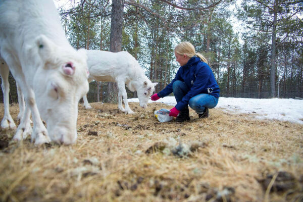 Urfolks naturkunnskap bør inkluderes
