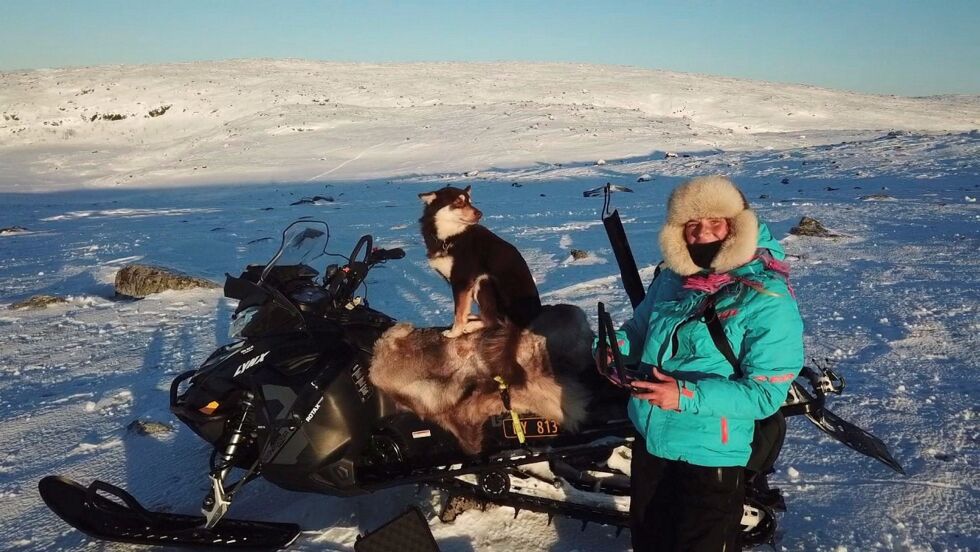 Anne Lai­la Smuk har brukt dro­ner i fle­re år, og lov­pri­ser det som et vik­tig og mil­jø­venn­lig verk­tøy for rein­drif­ta. Her ser vi henne på Gárddačearru/Garsjøhøyda (408 moh.) med hund­en Čammo.
 Foto: Privat
