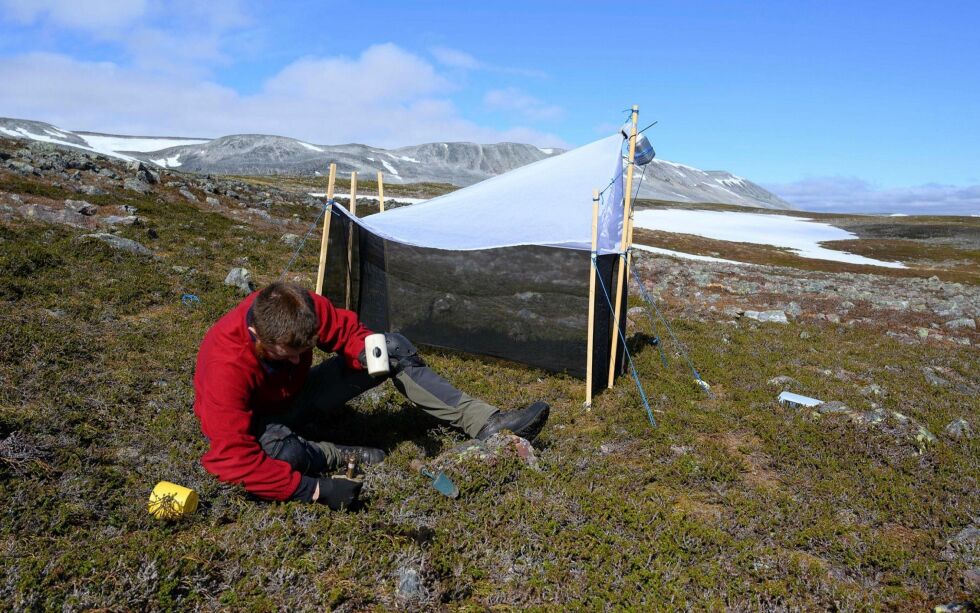 Forsk­er­ne sam­ler inn in­sek­ter på Var­ang­er­halv­øya der mål­et er å kart­leg­ge arts­sam­men­set­nin­gen av ark­tis­ke in­sek­ter.
Alle foto: NIBIO