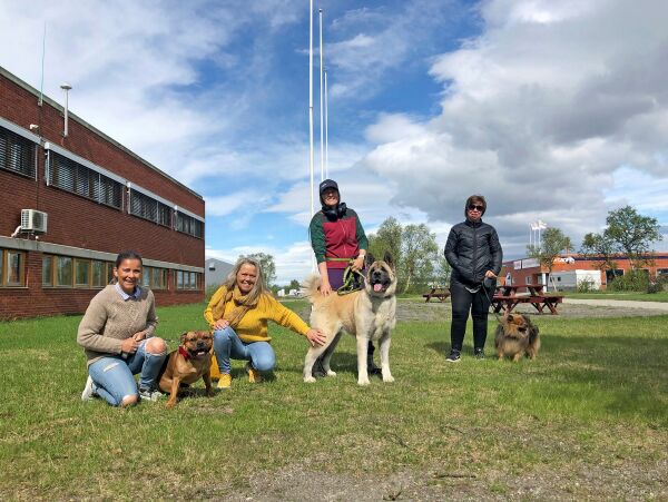 Ønsker hundepark i Lakselv