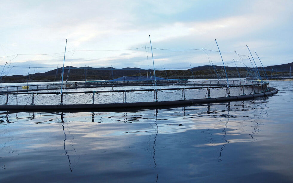 Kom­mu­ne­ne i Troms og Finn­mark får cir­ka 650 mil­li­o­ner kro­ner fra Havbruksfondet.