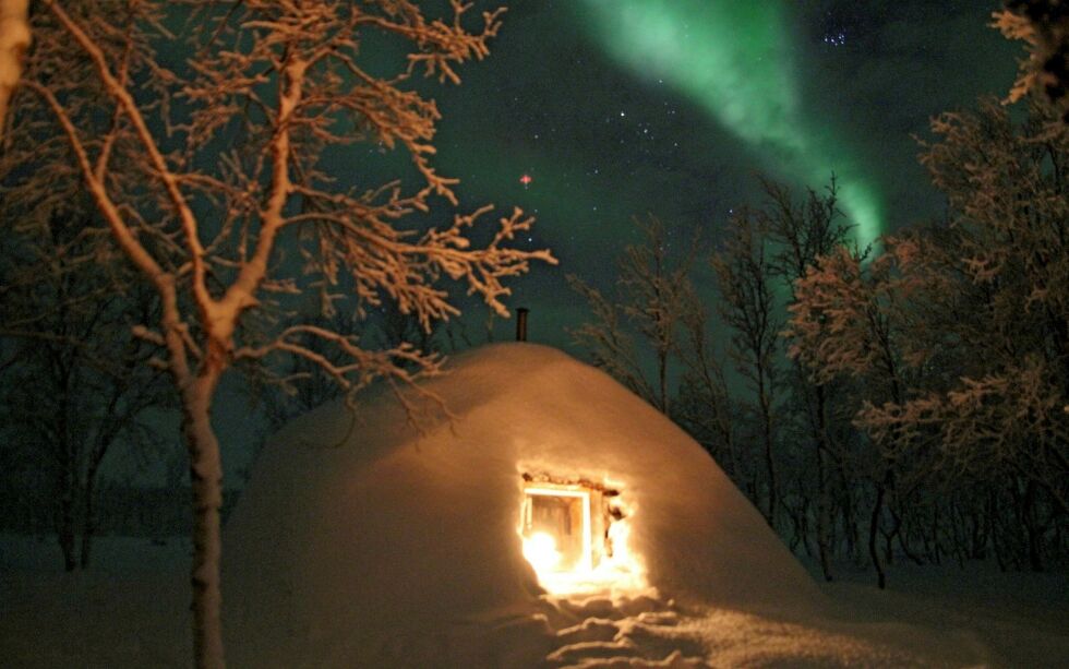 Arc­tic Eu­ro­pe har spredt sin gi-navn til-nord­lys-kam­pan­je over hele ver­den.  Arkivfoto: Stein Ivar Iversen.