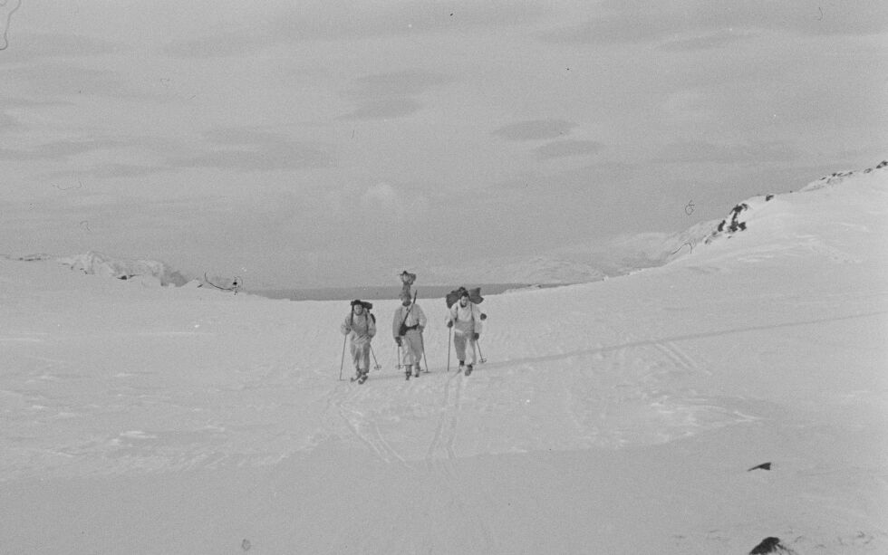 Ill.foto fra Sørøya vinteren 1945
 Foto: Riksarkivet