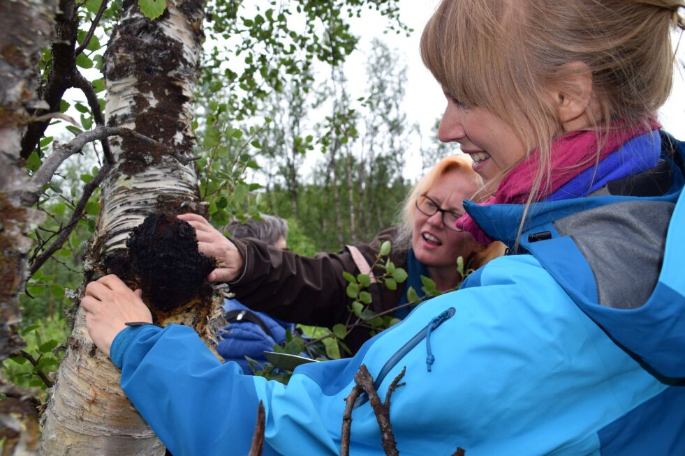 Marit Tapio Guttorm viser hvordan hun pleier å plukke chaga, mens Aina Hilmersen følger nøye med.
 Foto: Hilde Porsanger