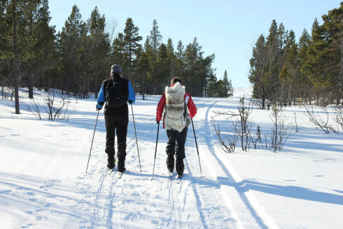 Barnas dag og skitur i Stabbursdalen