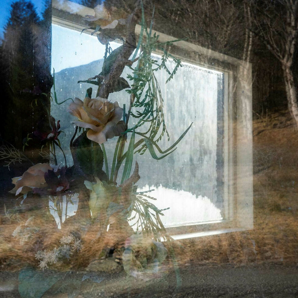 – Med planter i stua får man med ett en tiltrengt kobling til naturen, sier Anders Jørgensen.
 Foto: Anders Jørgensen