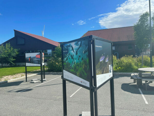 Styret urolig over den økonomiske tilstanden