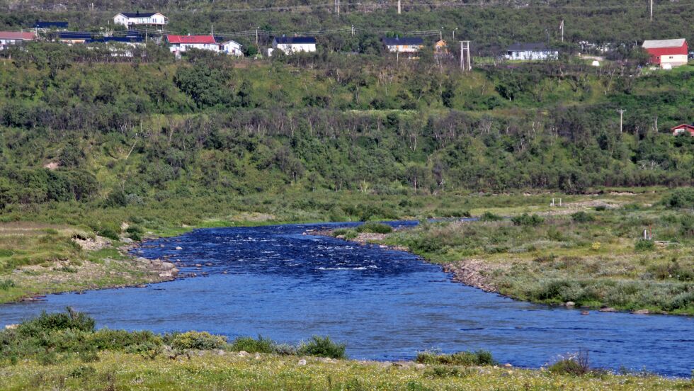 Laksefiskerne har bidratt til at det igjen er satt ny rekord i antall kilo oppfisket laks.
 Foto: Torbjørn Ittelin