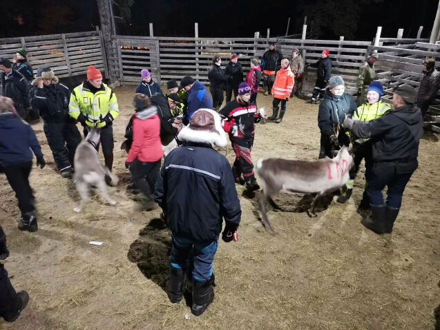 – En gledens dag for mange