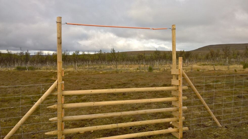 Viltnemnda i Nesseby mener reingjerde som er satt opp i området nord og sør for Seidafjellet ikke er i henhold til vilkårene. Blant annet mener man det er altfor få viltporter på deler av strekningen.
 Foto: Privat