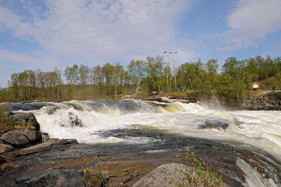 Temperaturene i juni var som normalt. Regn ble det mye av, og noen plasser fikk nesten dobbelt så mye som normalt. Her ser vi en potent versjon av Skoltefossen i Neidenelva begynnelsen av juni.
 Foto: Hallgeir Henriksen
