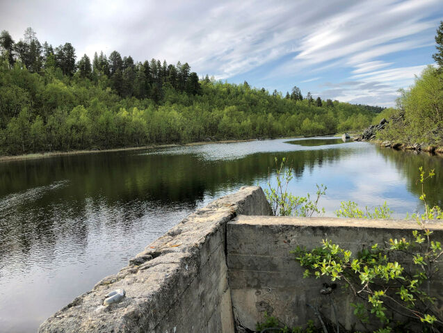 For få prøver og hemmelighold i ny Mattilsyn-rapport